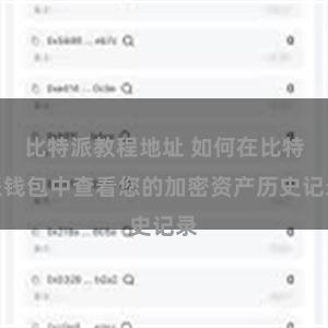 比特派教程地址 如何在比特派钱包中查看您的加密资产历史记录